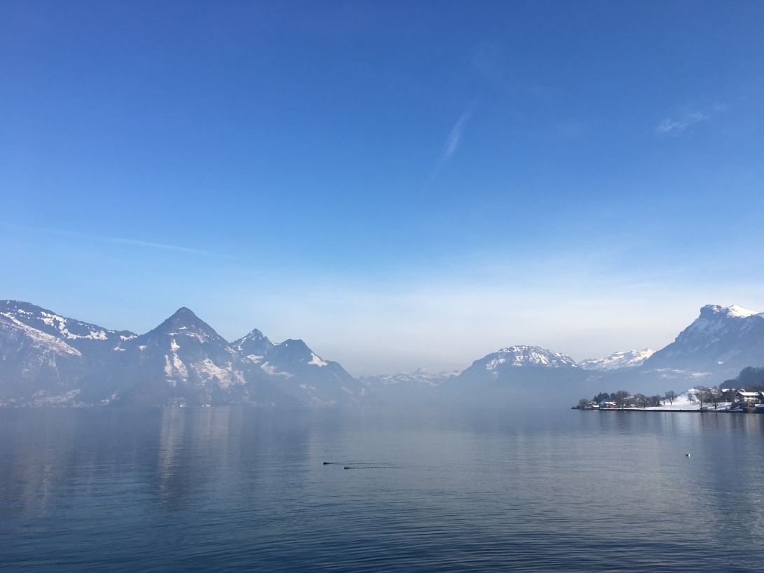 (Foto: Melissa Siegfried)