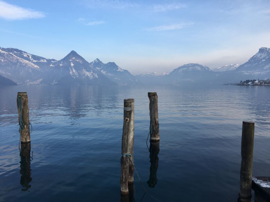 (Foto: Melissa Siegfried)