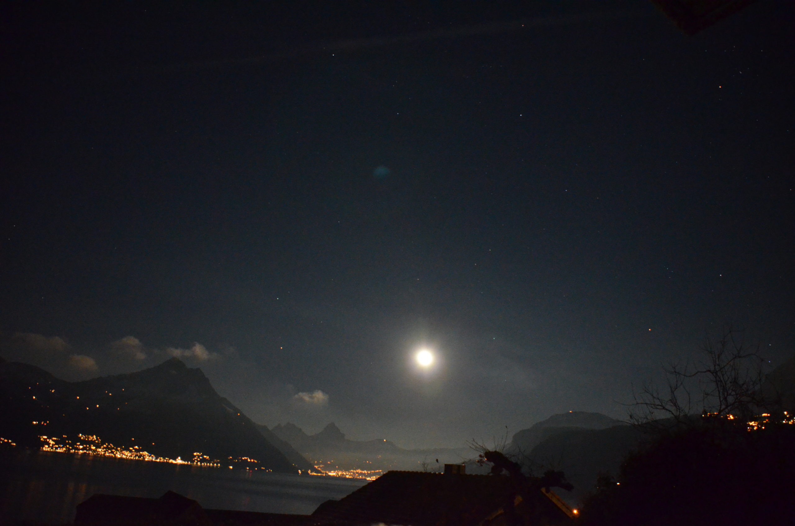 (Foto: Melissa Siegfried)
