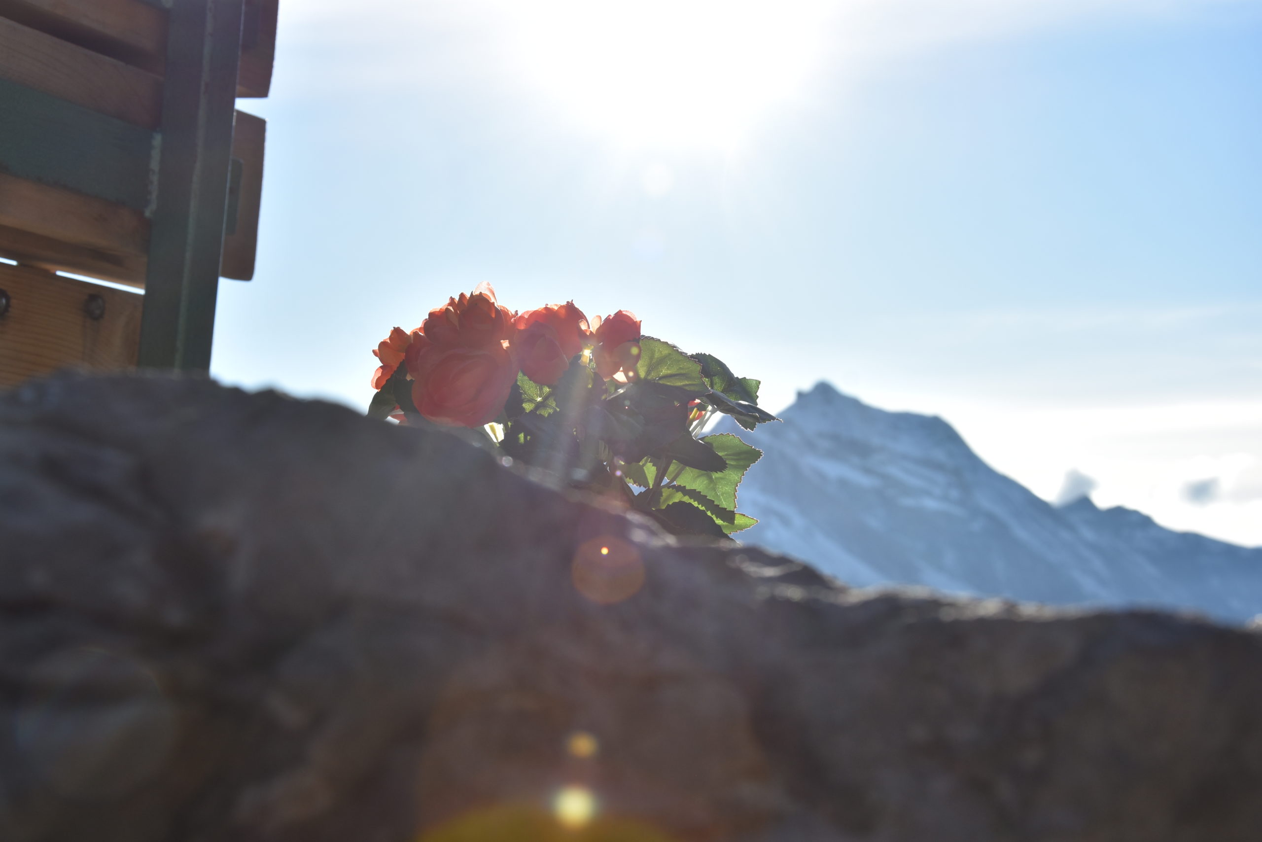 (Foto: Melissa Siegfried)