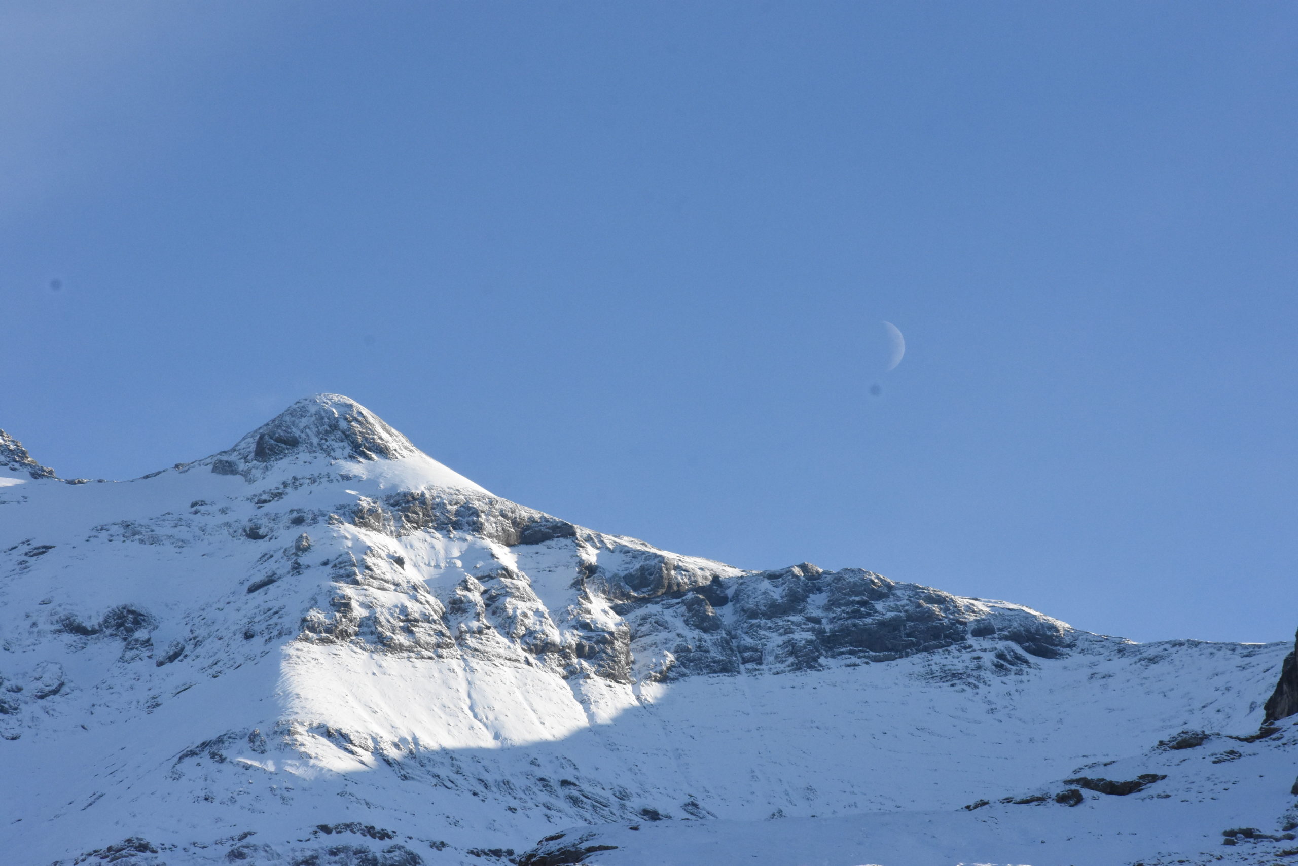 (Foto: Melissa Siegfried)