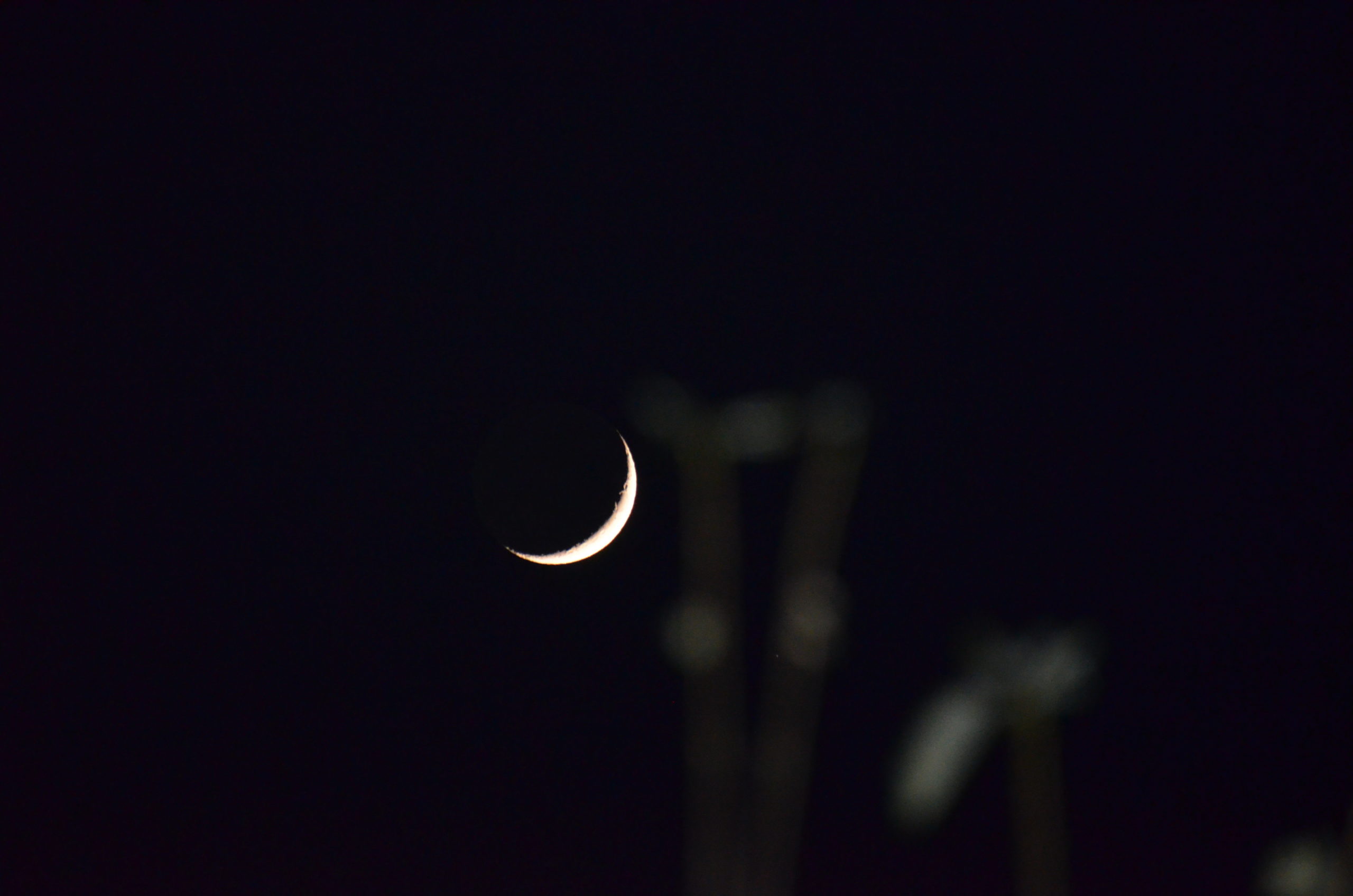 (Foto: Melissa Siegfried)