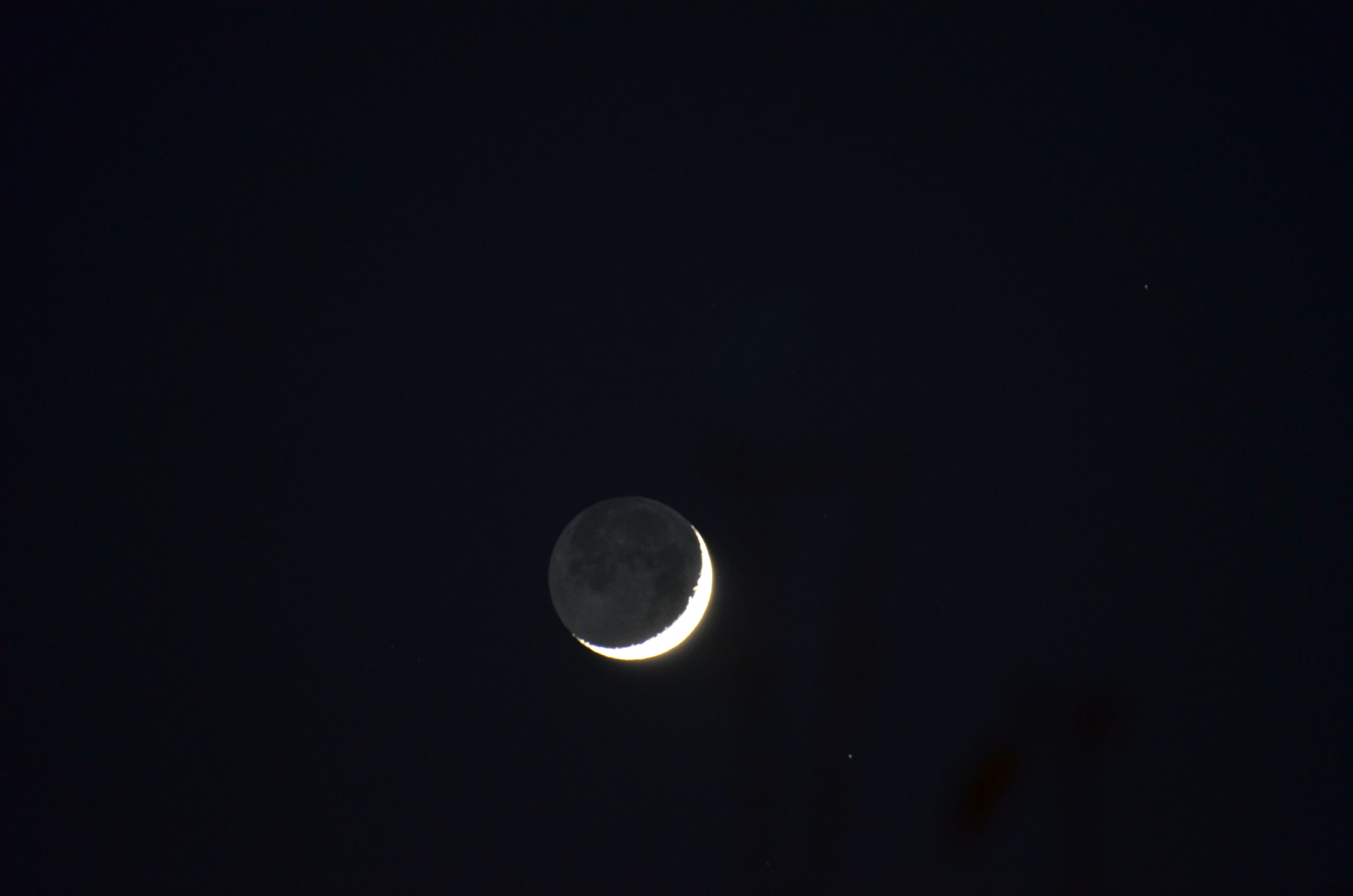 (Foto: Melissa Siegfried)