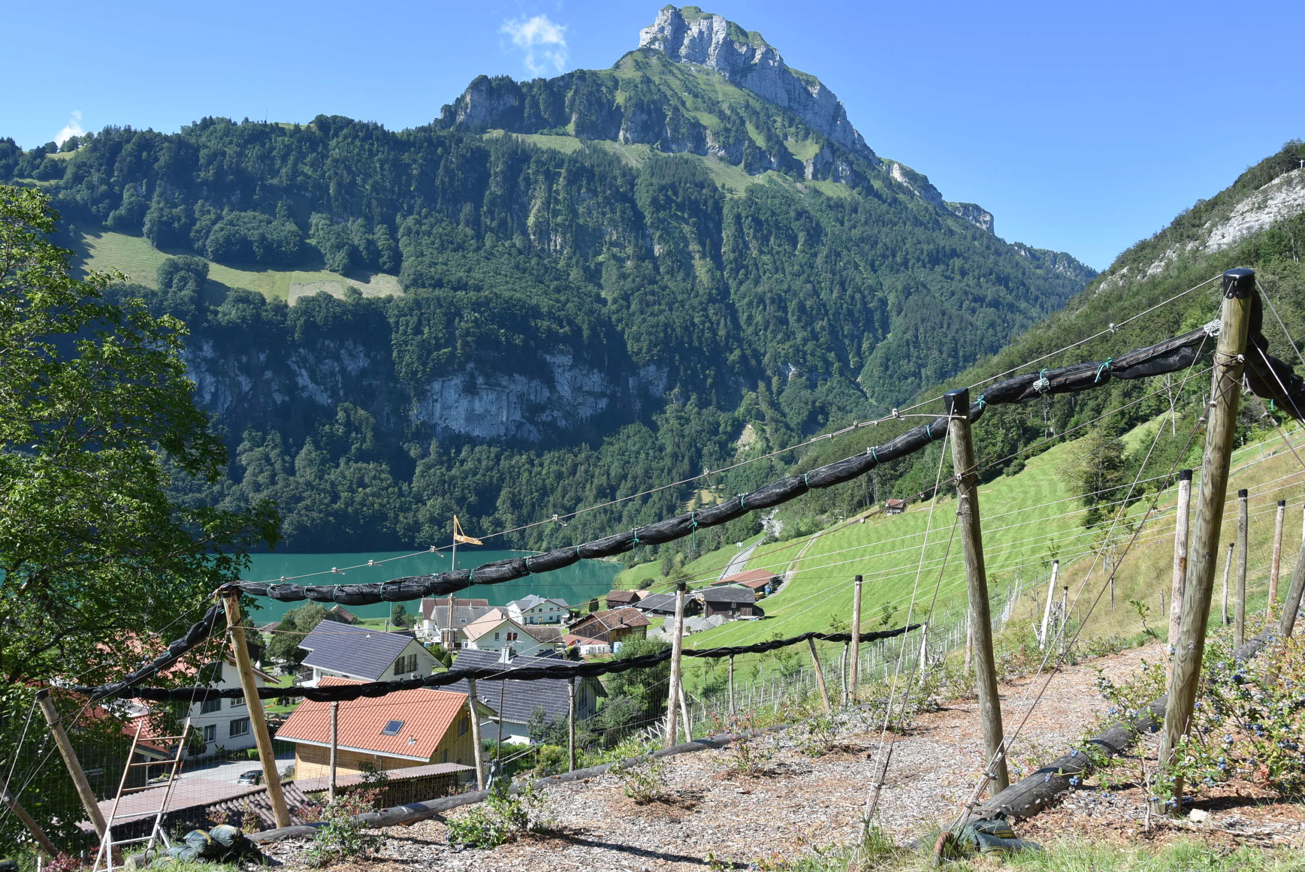 Seelisberg. (Foto: Melissa Siegfried)