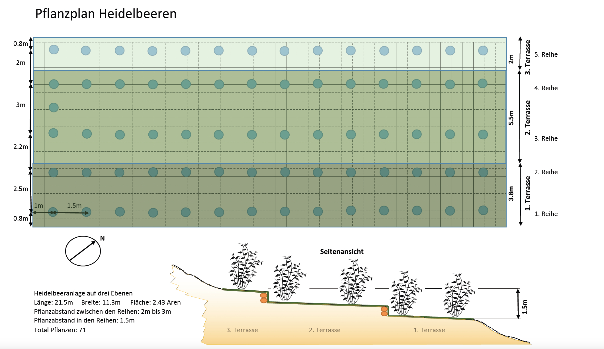 Der Anbau der Beeren kann auf verschiedene Arten erfolgen. Patrick Amstad entschied sich für eine Terrassierung. (Grafik: Bergfrucht)