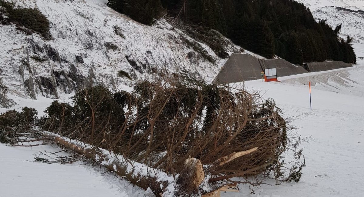 In Andermatt war der Skibetrieb eingestellt, Bäume kippten um, wie hier auf die Skipiste am Nätschen. (Foto: zVg)