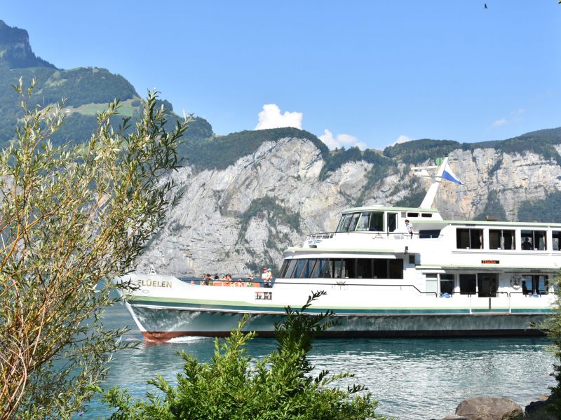 Die Schiffe auf dem Vierwaldstättersee dürfen mit einem reduzierten Fahrplan kursieren. (Foto: Melissa Siegfried)