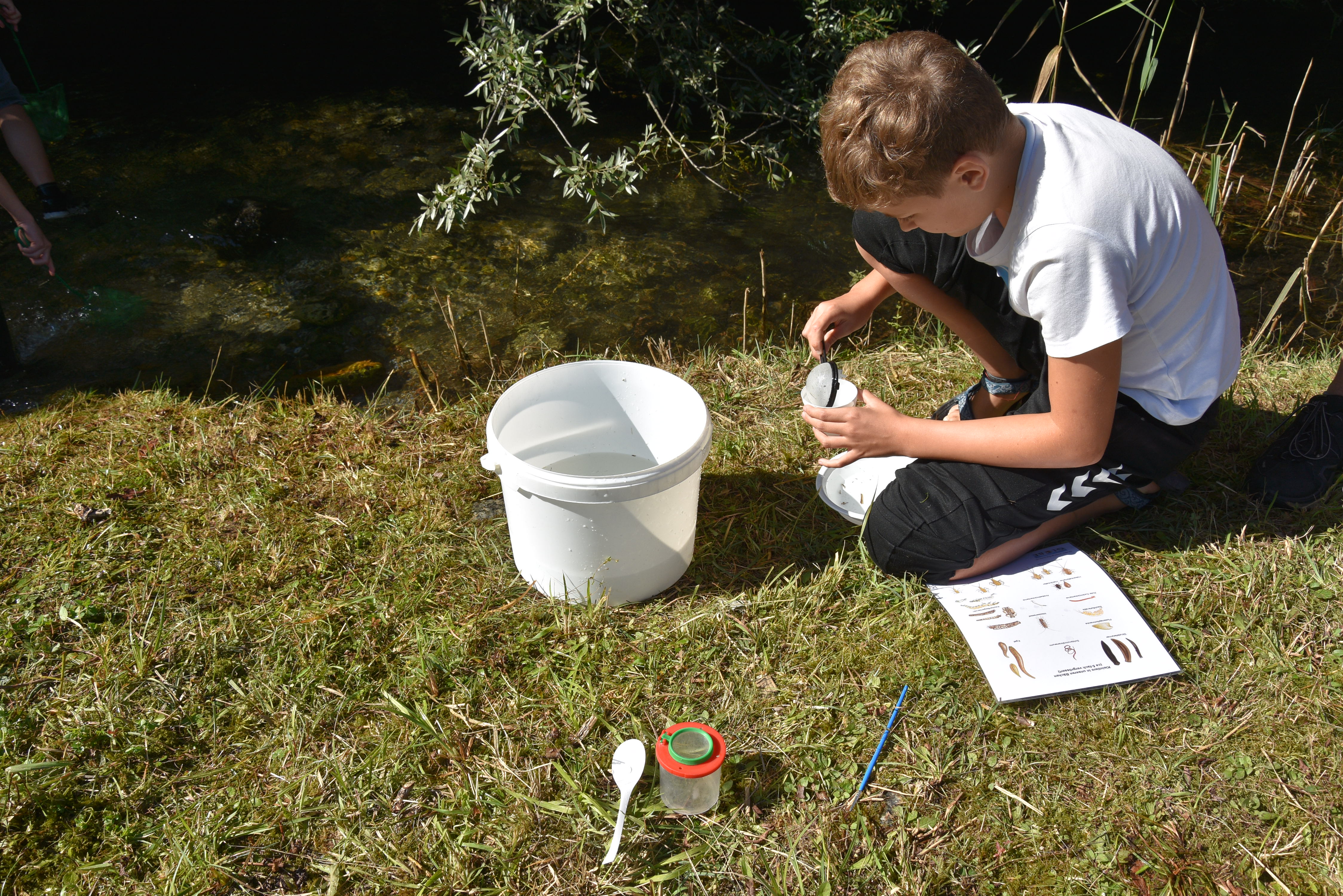 Ein Schüler filtert die gefundenen Kleintiere und Wasserpflanzen mit dem Sieb.