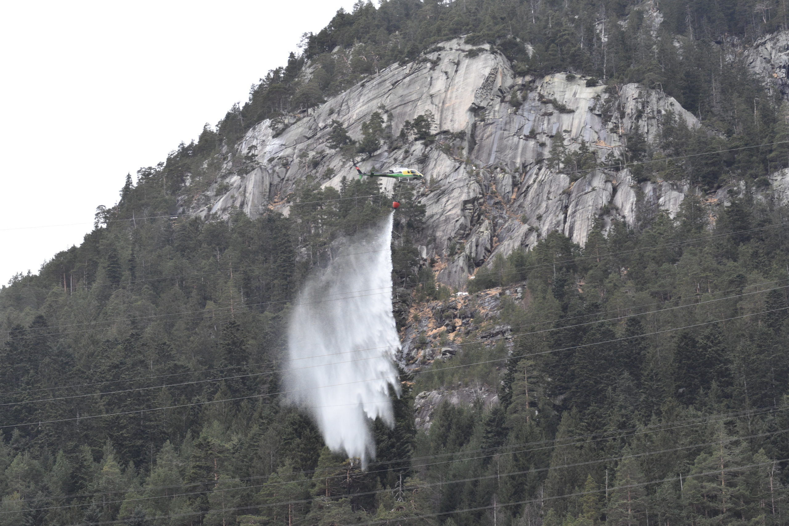 Mithilfe eines Löschhelikopters bekamen Feuerwehrleute den Waldbrand in den Griff. (Foto: Elisa Hipp)